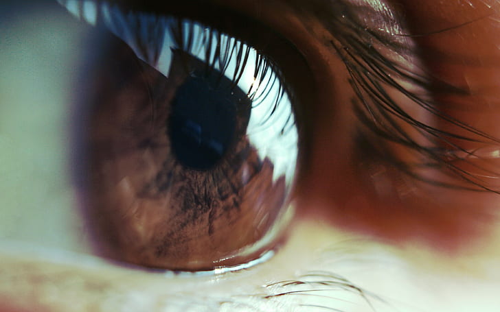olho, fundos da pupila, cílios, close-up, baixar 3840x2400 olho, HD papel de parede