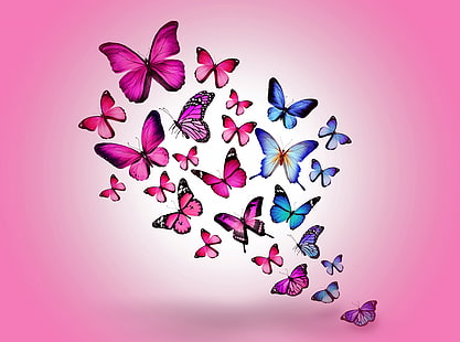Fjärilar, rosa och blå fjärilar grafik, Söt, djur, fjäril, fjärilar, insekt, insekter, vingar, HD tapet HD wallpaper