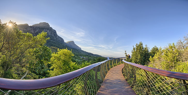 бело-зеленый дом для животных, Кейптаун, ЮАР, Столовая гора, мост, природа, деревья, Национальный ботанический сад Кирстенбош, небо, солнечные лучи, HD обои