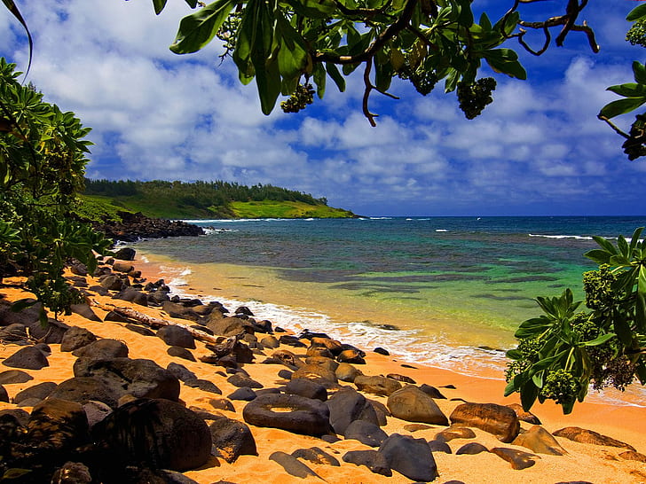 해변 그늘 하와이, 하와이, 해변, 그늘, HD 배경 화면