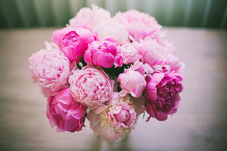 kompozycja kwiatowa różowej piwonii, kwiaty, bukiet, płatki, różowy, piwonie, Tapety HD HD wallpaper