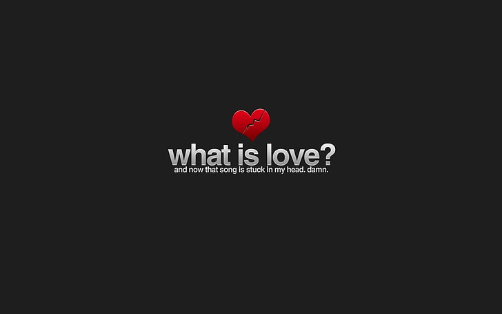 черен фон с какво е любовта? наслагване на текст, черен фон с какво е любов? наслагване на текст, минимализъм, любов, хумор, типография, HD тапет