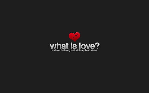 black background with what is love? text overlay, black background with what is love? text overlay, minimalism, love, humor, typography, HD wallpaper HD wallpaper