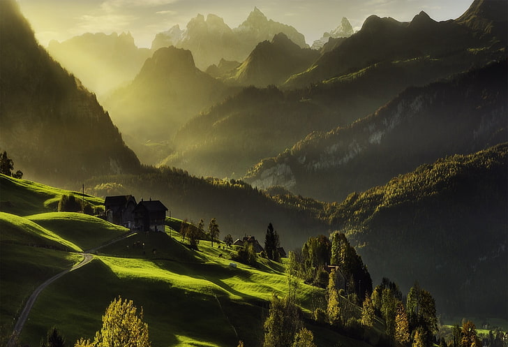 montagna verde con alberi, Svizzera, montagne, nebbia, foresta, strada, erba, verde, autunno, cabina, Alpi, paesaggio, natura, valle, Sfondo HD