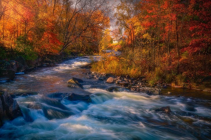 осень, лес, деревья, река, Канада, Онтарио, пороги, HD обои