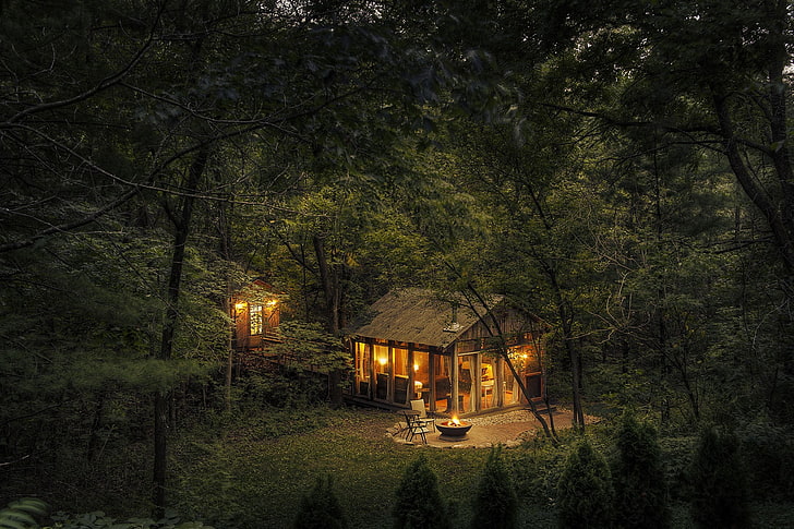 casa de madeira marrom, casa, luzes, natureza, árvores, floresta, cabine, fogo, madeira, HD papel de parede