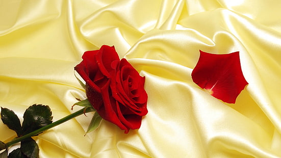 червена роза, рози, червено, цветя, коприна, HD тапет HD wallpaper