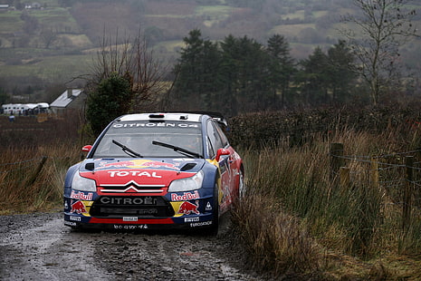 Turn, Dirt, Citroen, Red Bull, DS3, WRC, Rally, The Front, Overcast, Tapety HD HD wallpaper