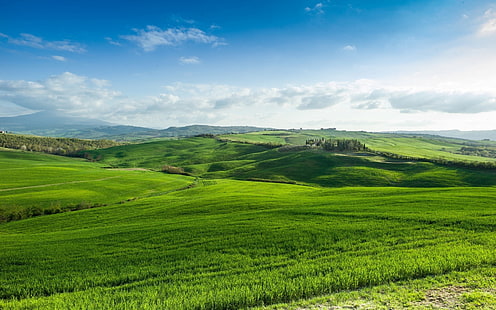 Belles terres vertes, paysage, cool, magnifique, champs, Fond d'écran HD HD wallpaper