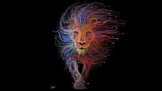 ilustrasi singa multi-warna merah, biru, dan oranye, wallpaper singa berwarna-warni, singa, warna-warni, seni digital, hewan, latar belakang hitam, ethernet, USB, kabel, minimalis, Wallpaper HD HD wallpaper