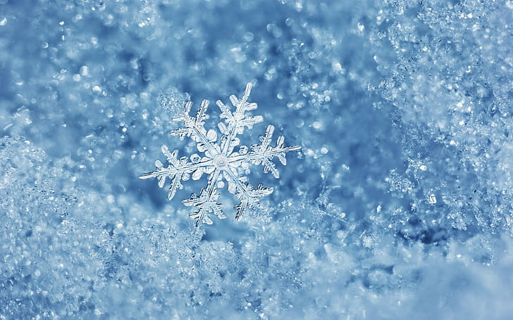 Es, Musim Dingin, Makro, Kepingan Salju, es, musim dingin, makro, kepingan salju, Wallpaper HD