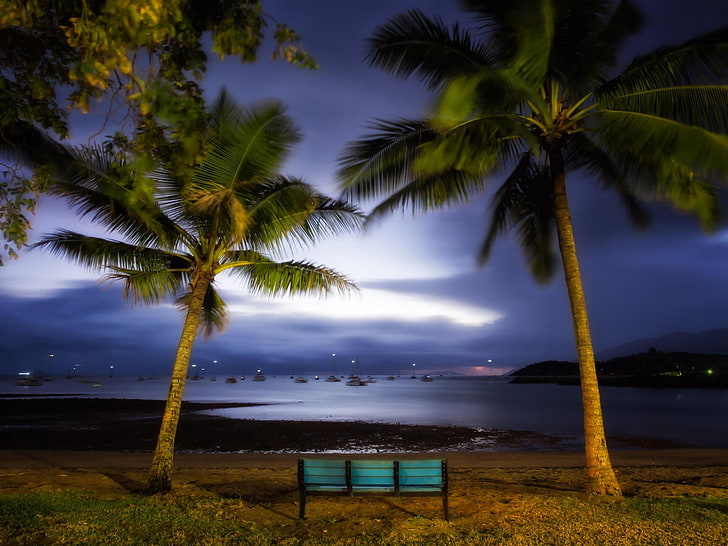 two coconut trees, landscape, nature, harbor, palm trees, bench, evening, sailing ship, lights, coast, hills, sea, Australia, HD wallpaper