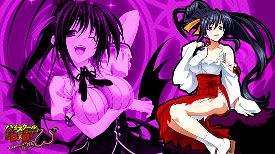 Anime, Anime Mädchen, Highschool DxD, Himejima Akeno, High School DxD, HD-Hintergrundbild HD wallpaper