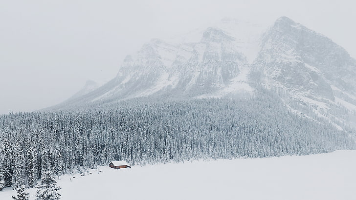 gunung, lansekap, salju, hutan, gunung, kabin, Wallpaper HD