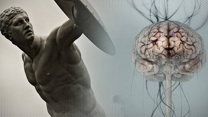 ilustrasi otak manusia, patung, otak, Binaragawan, olahraga, kuno, Wallpaper HD