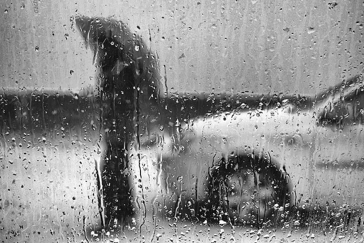 rain, wet, car, drop, rain, wet, car, drop, raindrop, people, window, weather, HD wallpaper
