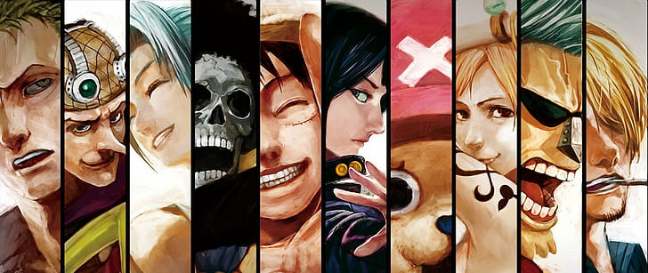 Anime, One Piece, Brook (One Piece), Franky (One Piece), Monkey D. Luffy, Nami (One Piece), Nico Robin, Sanji (One Piece), Tony Tony Chopper, Usopp (One Piece), Vivi Nefertari,Zoro Roronoa, Sfondo HD