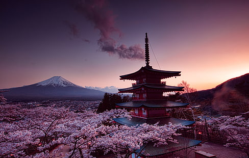 templo de pagode vermelho e azul, sakura, fujiyama, torre churei, HD papel de parede HD wallpaper