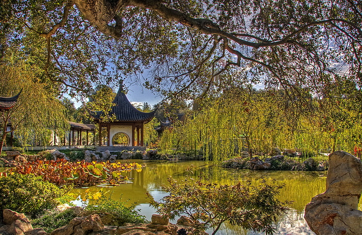 white and black temple and body of water, arbor, china, tree, branches, pond, flora, HD wallpaper