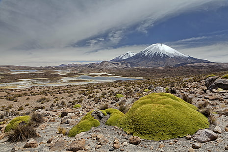มอสสีเขียวที่เกิดขึ้นบนโขดหินใกล้ภูเขาในตอนกลางวัน, ภูเขาไฟ parinacota, ภูเขาไฟ Parinacota, ภูเขาไฟ Parinacota, หิน, ภูเขา, ตอนกลางวัน, ภูมิประเทศ, ภูเขาไฟ, ไฮแลนด์, altiplano, ชิลี, ทะเลสาบโบลิเวีย, ทะเลสาบ, วัลแคน, อาริก้า, กลางแจ้ง, งดงาม, ธรรมชาติ, ธรรมชาติ, ป่า, ถิ่นทุรกันดาร, แอนดีส, อเมริกาใต้, canon 5D, eos, น้ำเขียว, ภูเขาไฟ, เข้าชม, ยอดเขา, ญี่ปุ่น, หิมะ, วอลล์เปเปอร์ HD HD wallpaper