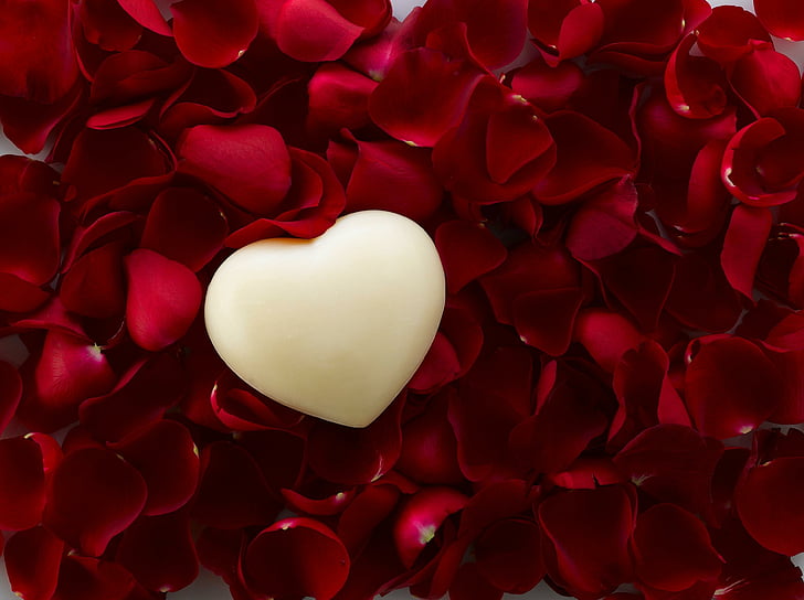 белое сердце с обоями из красных лепестков роз, Love love, лепестки роз, 4K, HD обои