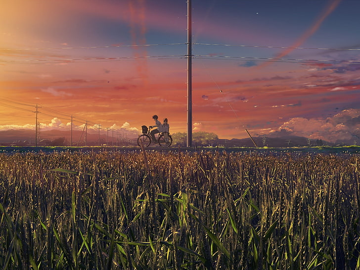 пейзаж, велосипед, закат, трава, аниме, поле, небо, HD обои