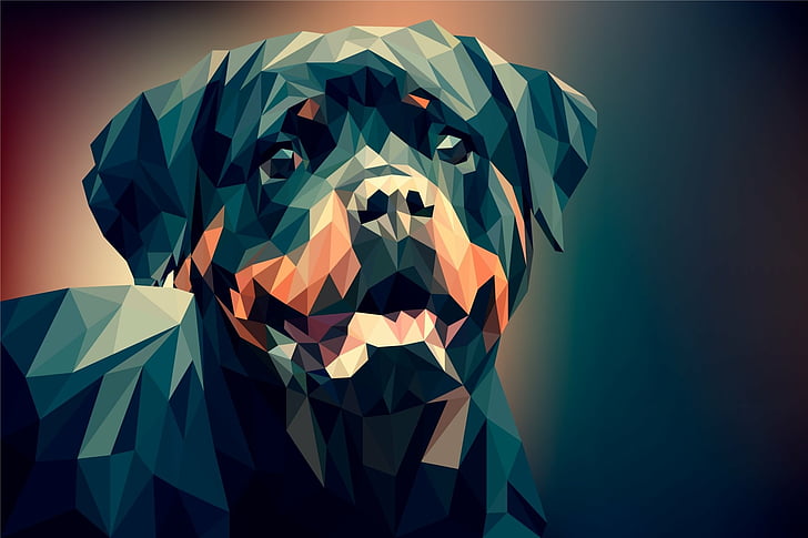 Abstract, Facets, Digital Art, Dog, Low Poly, Polygon, Rottweiler, HD wallpaper