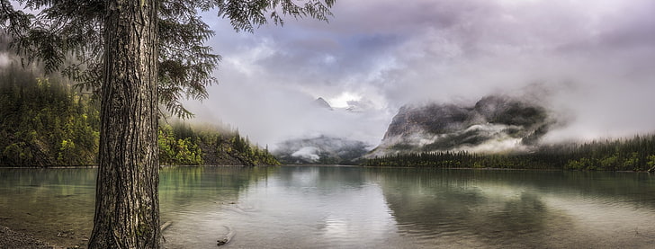 природа, пейзаж, озеро, туман, панорамы, лес, горы, облака, вода, Британская Колумбия, Канада, деревья, HD обои
