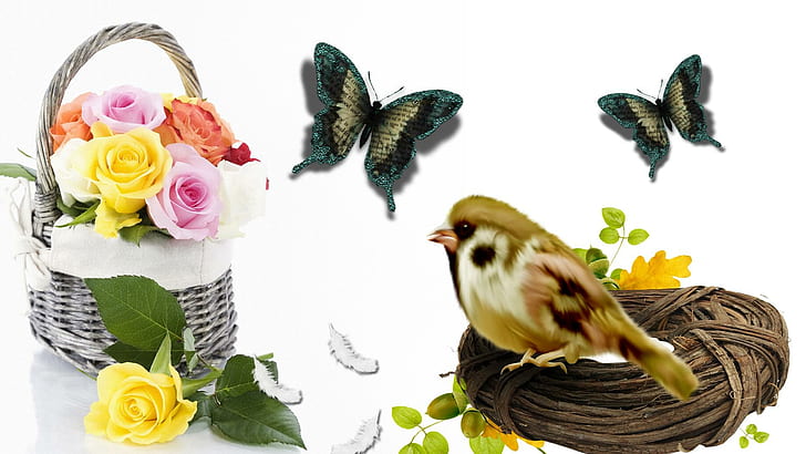 Кошница Птица пеперуди, рози, букет, птица, пеперуди, гнездо, кошница, цветя, пера, 3d и абстрактни, HD тапет