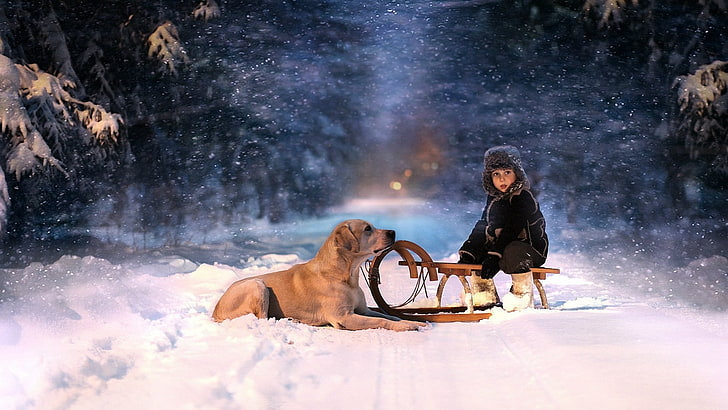 toddler's black winter coat and brown sled, boy, sled, dog, snow, HD wallpaper