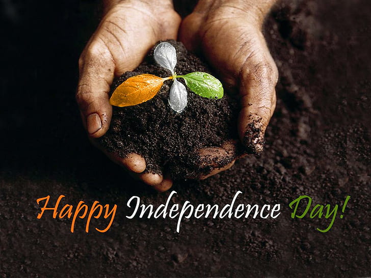 15 август 2014 г., честит ден на независимостта, ден на независимостта, флаг на Индия, HD тапет