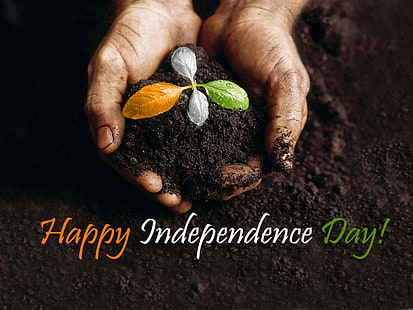 15 สิงหาคม 2557 สุขสันต์วันเอกราชวันประกาศอิสรภาพธงอินเดีย, วอลล์เปเปอร์ HD HD wallpaper