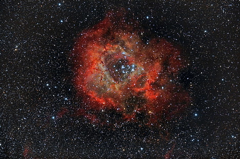 성운, 콘센트, 유니콘, NGC 2237, 별자리, 장미, HD 배경 화면 HD wallpaper