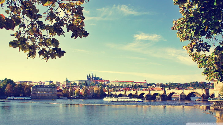 panorama foto av grå bro, Prag, Tjeckien, slott, HD tapet