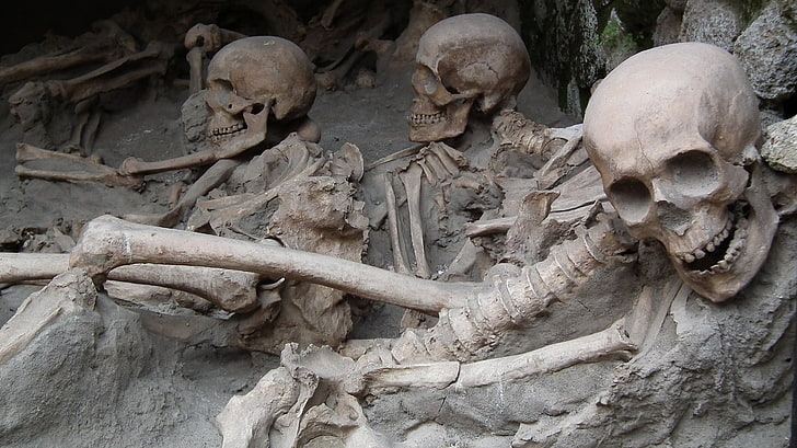 Schädel, Skelett, HD-Hintergrundbild