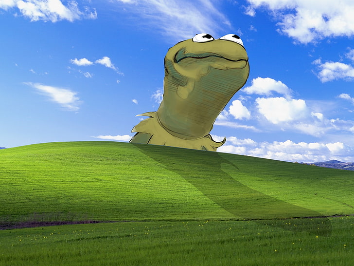 mutluluk windows xp kurbağa kermit microsoft windows muppet gösterisi 1920x1440 Hayvanlar Kurbağalar HD Sanat, Windows XP, mutluluk, HD masaüstü duvar kağıdı