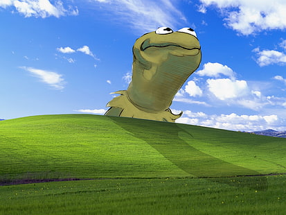 블리스 윈도우 XP 커밋 개구리 마이크로 소프트 윈도우 머펫 쇼 1920x1440 동물 개구리 HD 아트, 윈도우 XP, 행복, HD 배경 화면 HD wallpaper