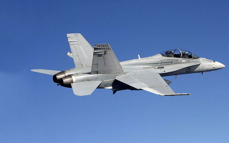 FA 18 Super Hornet Fighter Bomber, серый боевой самолет, Самолеты / Самолеты,, самолет, самолет, HD обои