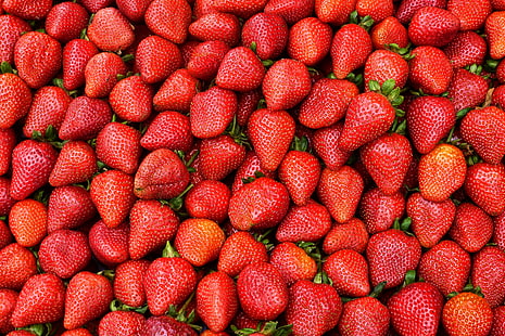 빨간 딸기, 딸기, 베리, 익은, 빨강, 수확의 무리, HD 배경 화면 HD wallpaper