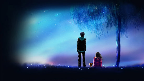 Meteor, Anime, Anime Junge, Anime Mädchen, Liebe, Nacht, Freunde, Meteor, Freunde, Anime Junge, Anime Mädchen, Liebe, Nacht, HD-Hintergrundbild HD wallpaper