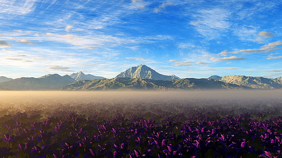 Пустинята Атакама, облаци, планини, пейзаж, цветя, небе, лилави цветя, природа, HD тапет HD wallpaper