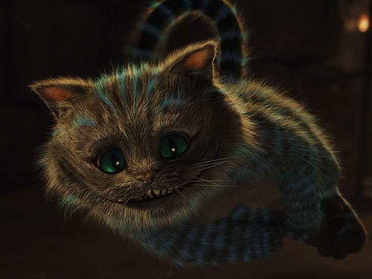 gray kitten illustration, Alice in Wonderland, cat, smiling, flying, Cheshire Cat, HD wallpaper