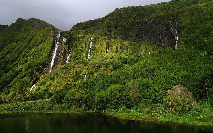grüne Waldbäume, Wasserfall, Natur, HD-Hintergrundbild