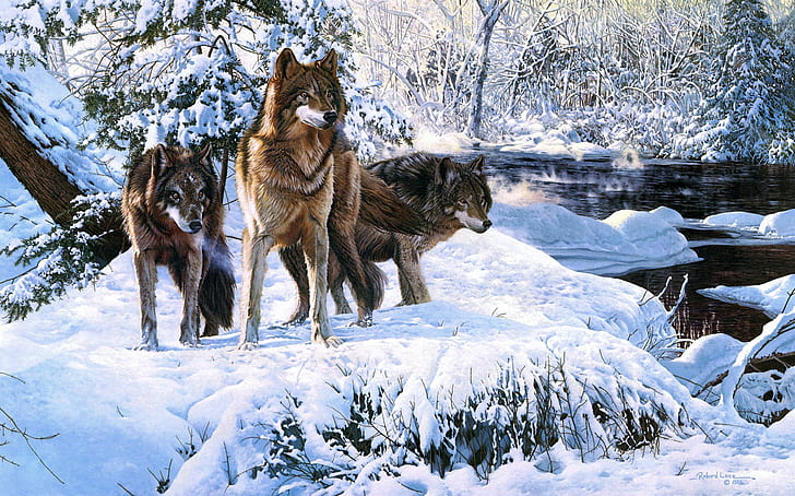 늑대, 풍경, 소나무, HD 배경 화면