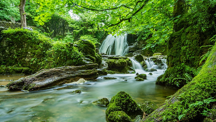 water, yorkshire, north yorkshire, chute, forest, wedber wood, europe, stream, body of water, united kingdom, green leaves, england, malham, janets foss, woods, nature, waterfall, creek, green forest, HD wallpaper