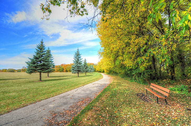 Herbsthimmel-Wegnatur, braune Holzbank, Natur, Park, Bäume, Gras, Herbst, Bank, Fichte, PFAD, Himmel, Wolken, HD-Hintergrundbild