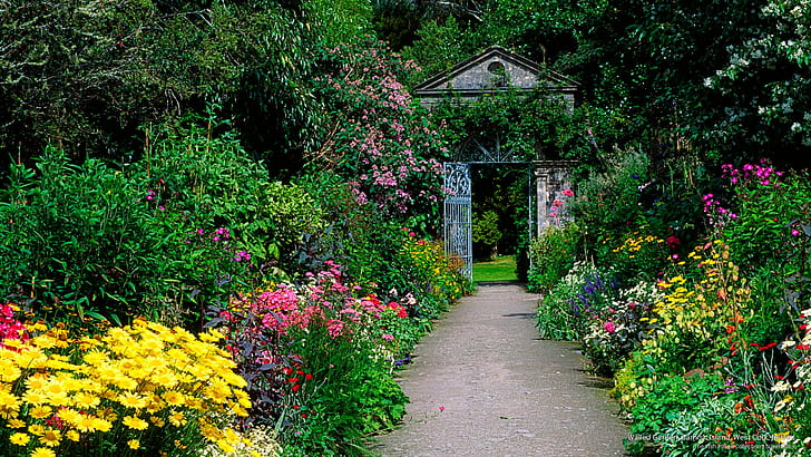 สวนที่มีกำแพงล้อมรอบเกาะ Garnish West Cork ไอร์แลนด์ดอกไม้ / สวน, วอลล์เปเปอร์ HD