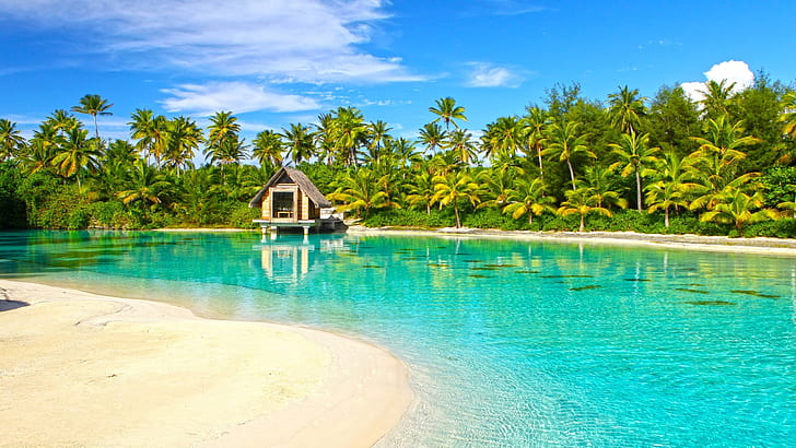 Otrolig Aqua Blue Clear Lagoon Bora Bora Paradise Isl Polynesien Tahiti Desktop Bakgrund 339695, HD tapet