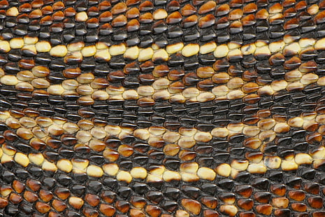 Makro, Schlange, Leder, Schlangenhaut, HD-Hintergrundbild HD wallpaper