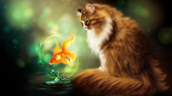 cat, fantasy art, goldfish, fish, painting art, painting, HD wallpaper